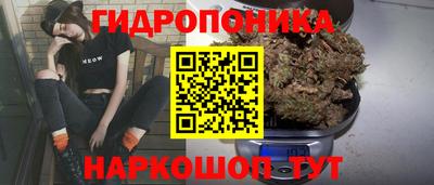 твердый Тара