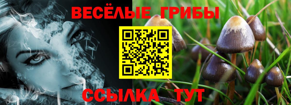 магазин продажи   Псилоцибиновые грибы Magic Shrooms  Вход с VPN  Туймазы 